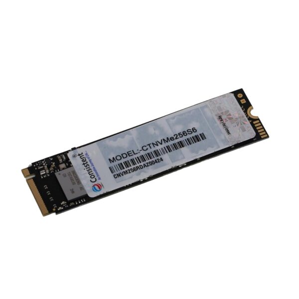 Consistent 256GB NVMe PCIe M.2 SSD 2280, 3D NAND with SLC Cache, Up to 2200MB/s, 5 Years Warranty