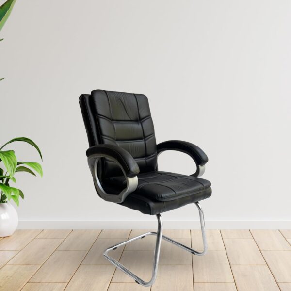Binani Executive Office Visitor Chair | Ergonomic Relax Chair for Study, Home, Reception| Comfortable Cushioned Seat Back, Double Pipe Frame with Arm Rest Guest Seating (1, Black, Star)